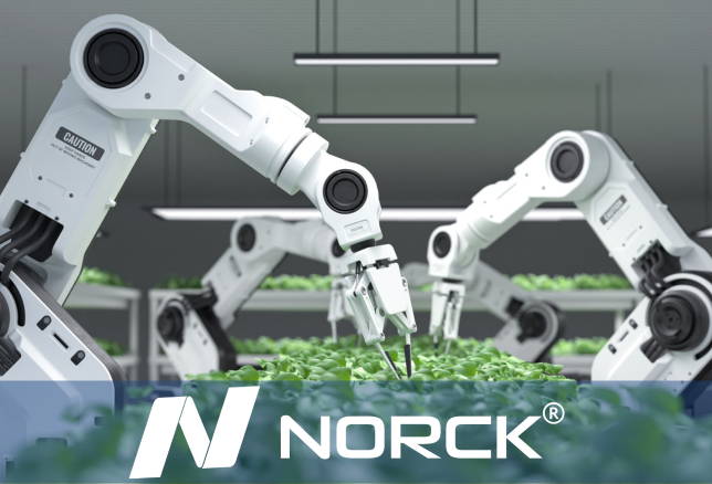 Transforming Manufacturing: Norck's Implementation of Artificial Intelligence in Custom Production